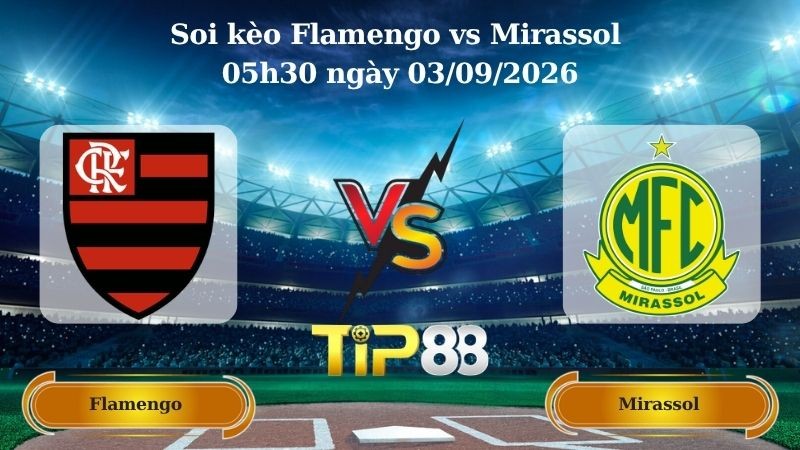 TIP88 Nhận định soi kèo Flamengo vs Mirassol 05h30 ngày 03/09/2026 - VĐQG Brazil